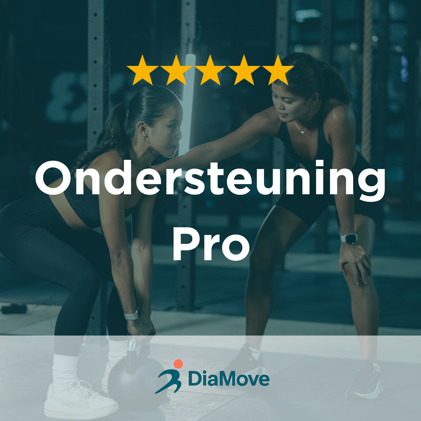 Persoonlijk ondersteuning – Pro
