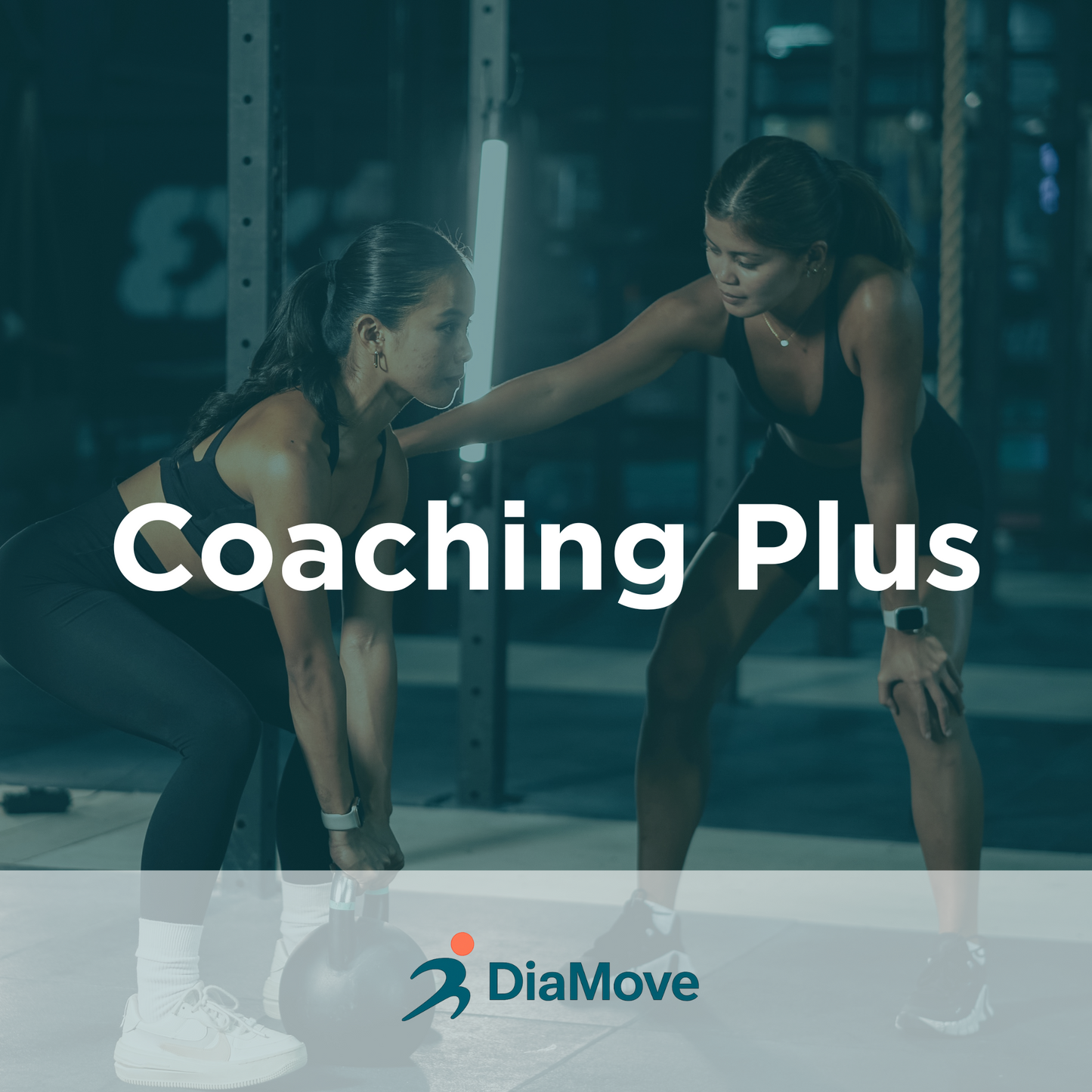 Persoonlijk Coachingstraject - Plus